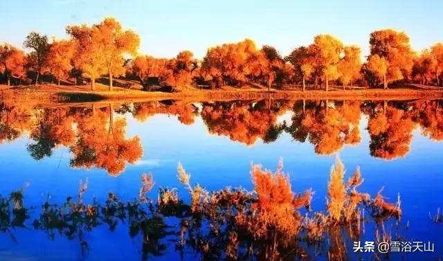 新疆若羌县祁曼塔格乡有多大,最大的县城若羌县