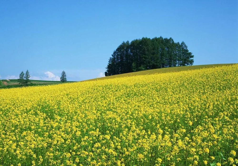 心痛！网红玩法连它1%的美都get不到！让开，游侠客带你玩真西安
