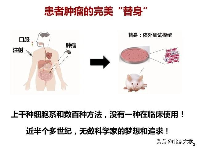 治疗癌症的重大突破科研成果,治疗癌症新药重大突破辟谣