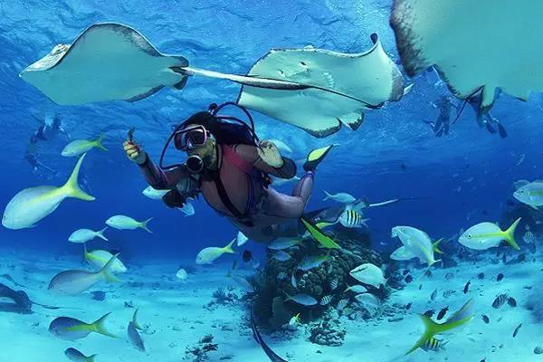 十个最适合冬天度假的绝美海岛,10个好玩又便宜的海岛