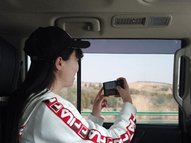 榆林牡丹园,榆林千年牡丹园