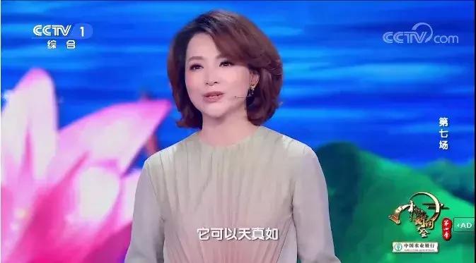 中国诗词大会董卿开场白蒹葭苍苍,董卿主持中国诗词大会开场白评价