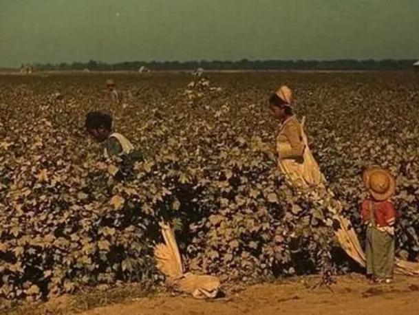 敢对中国搞双标的外企,你们会得到“福报”的