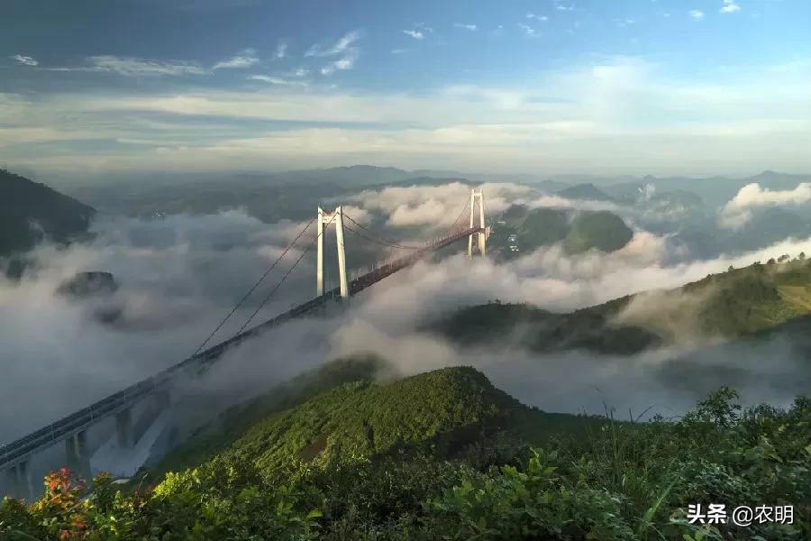 贵州最近开通的高速公路,贵州三条高速