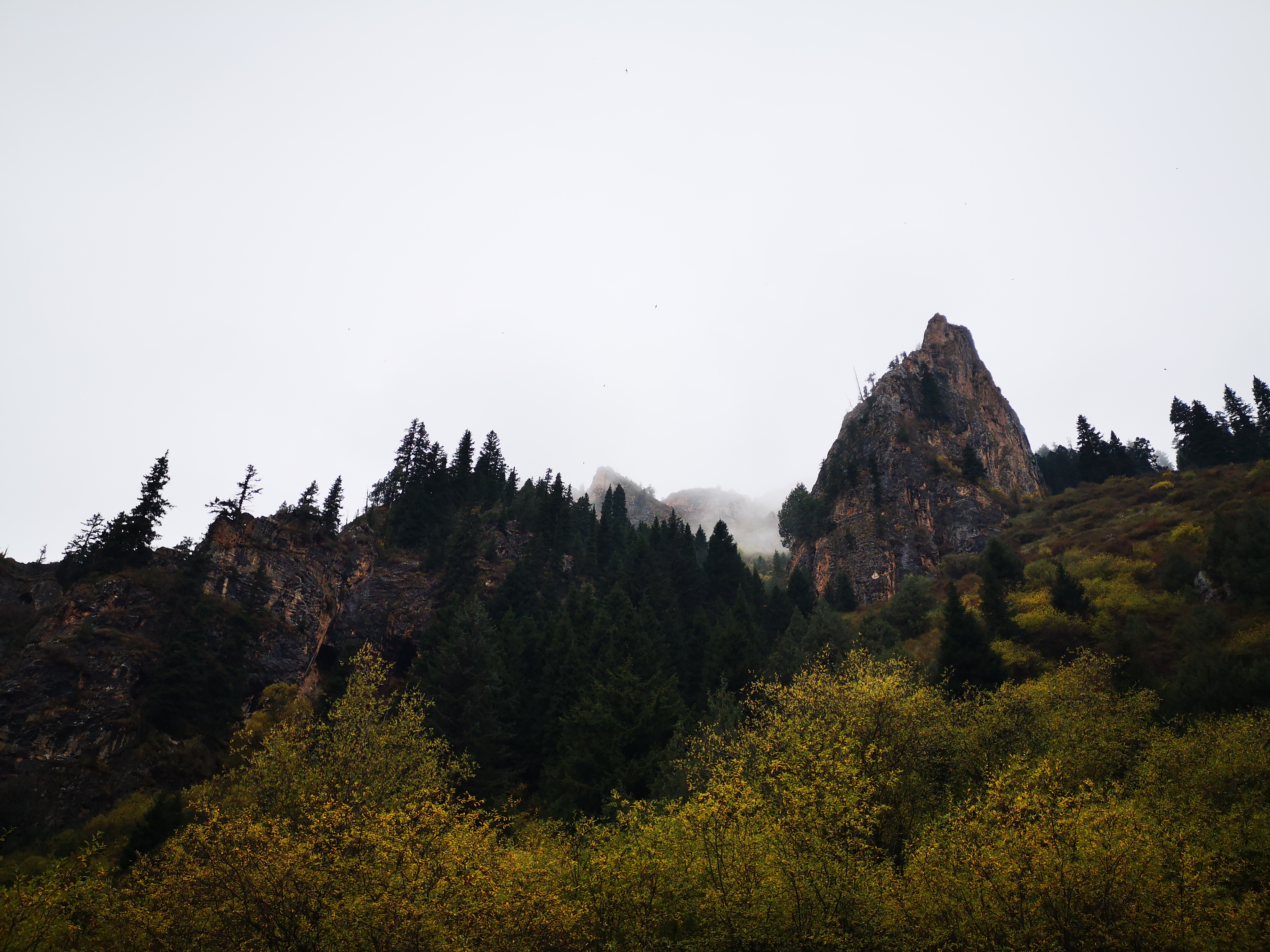 则岔石林游记,尕海湖和则岔石林