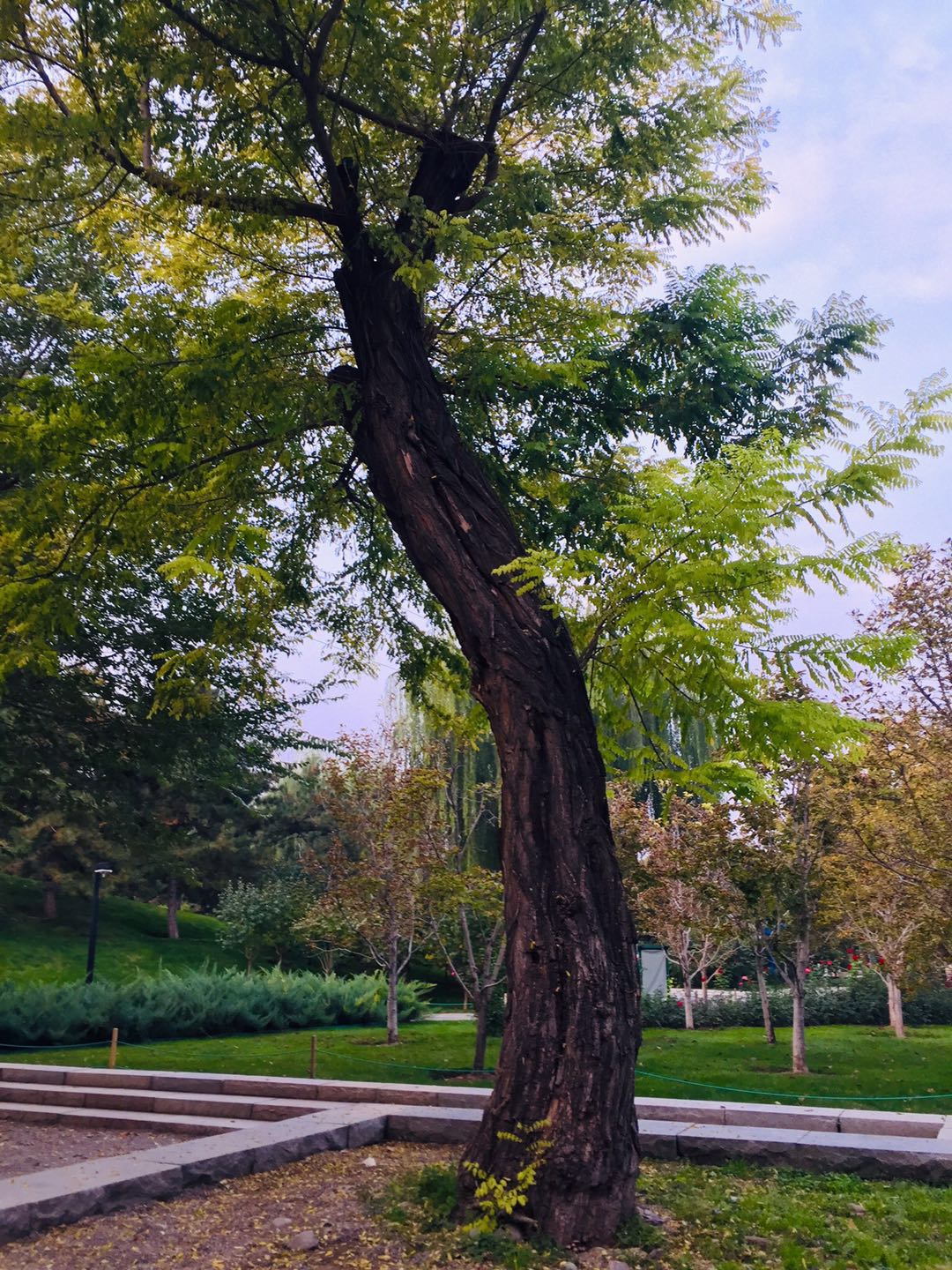 北京庆丰公园，有历史典故，能晨跑健身、遛弯散心的3*级A**景区