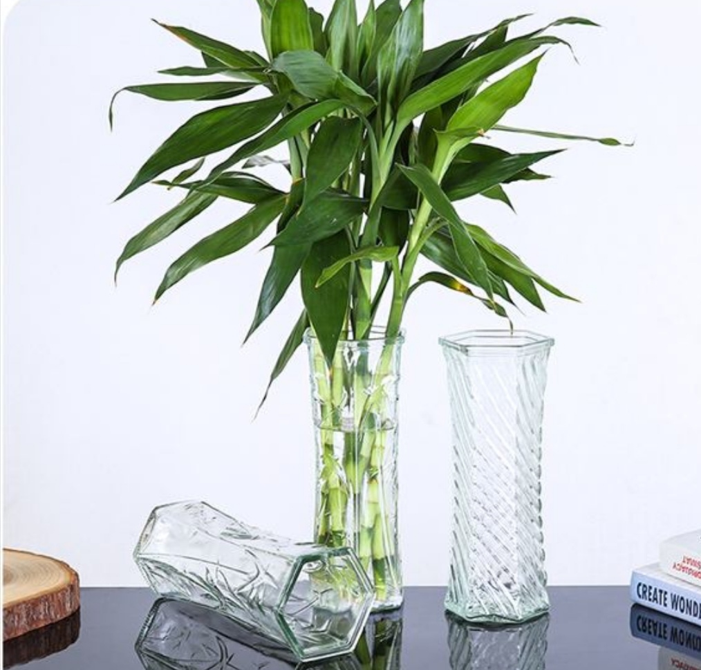 水培富贵竹黄叶怎么补救最佳方法,2个小药片让水培的富贵竹养20年