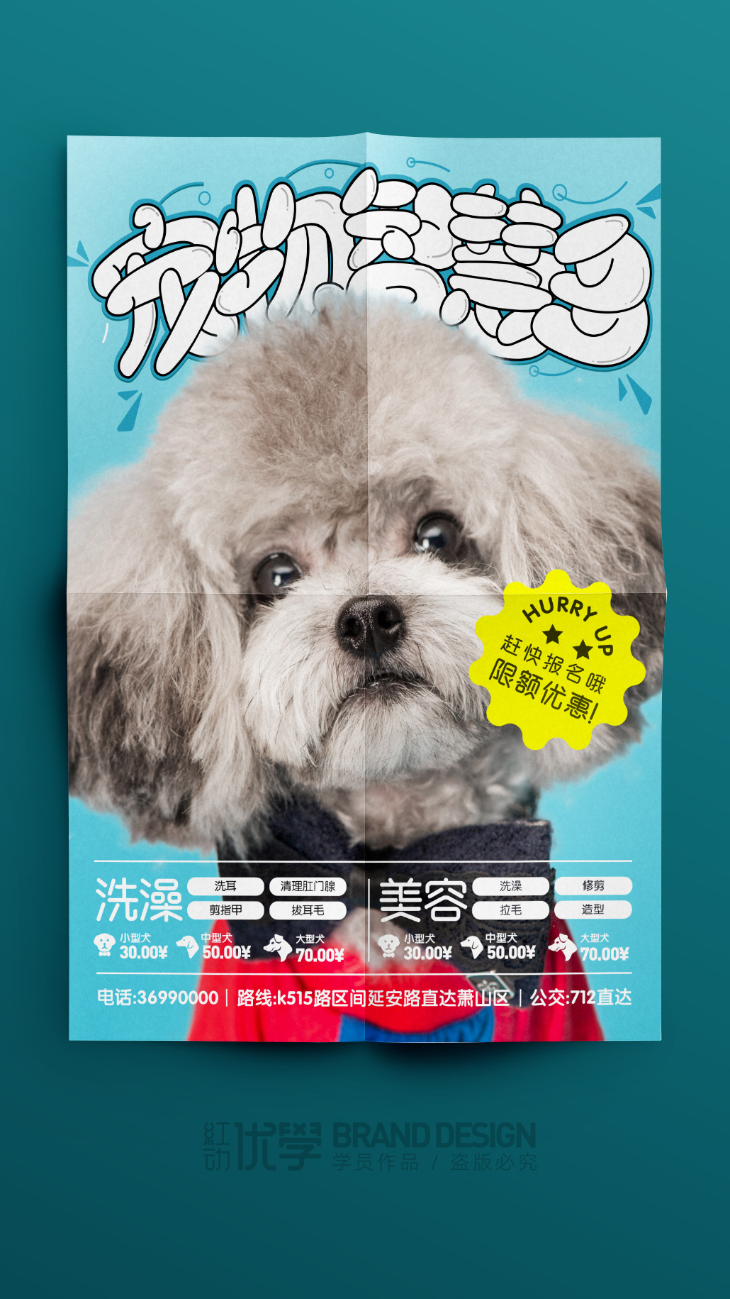 电商平面和ui设计哪个好,电商平面ui设计和平面设计