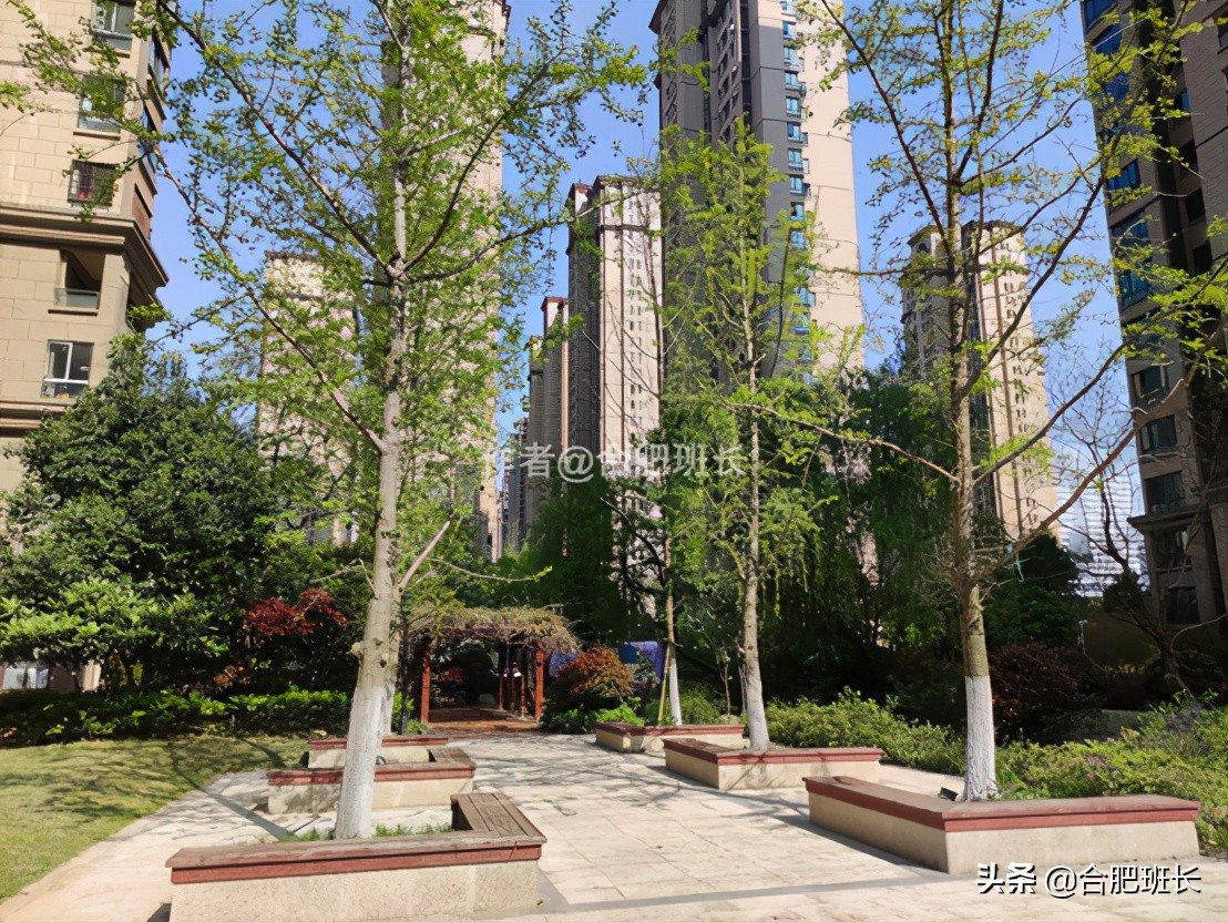 合肥滨湖新区四十六中附近,滨湖四十六中南校区有万科楼盘吗