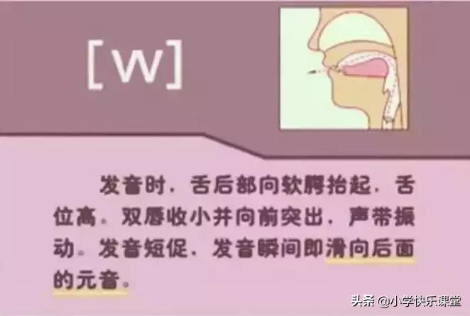 48个国际音标的发音口型视频图,英语48个音标发音口型视频