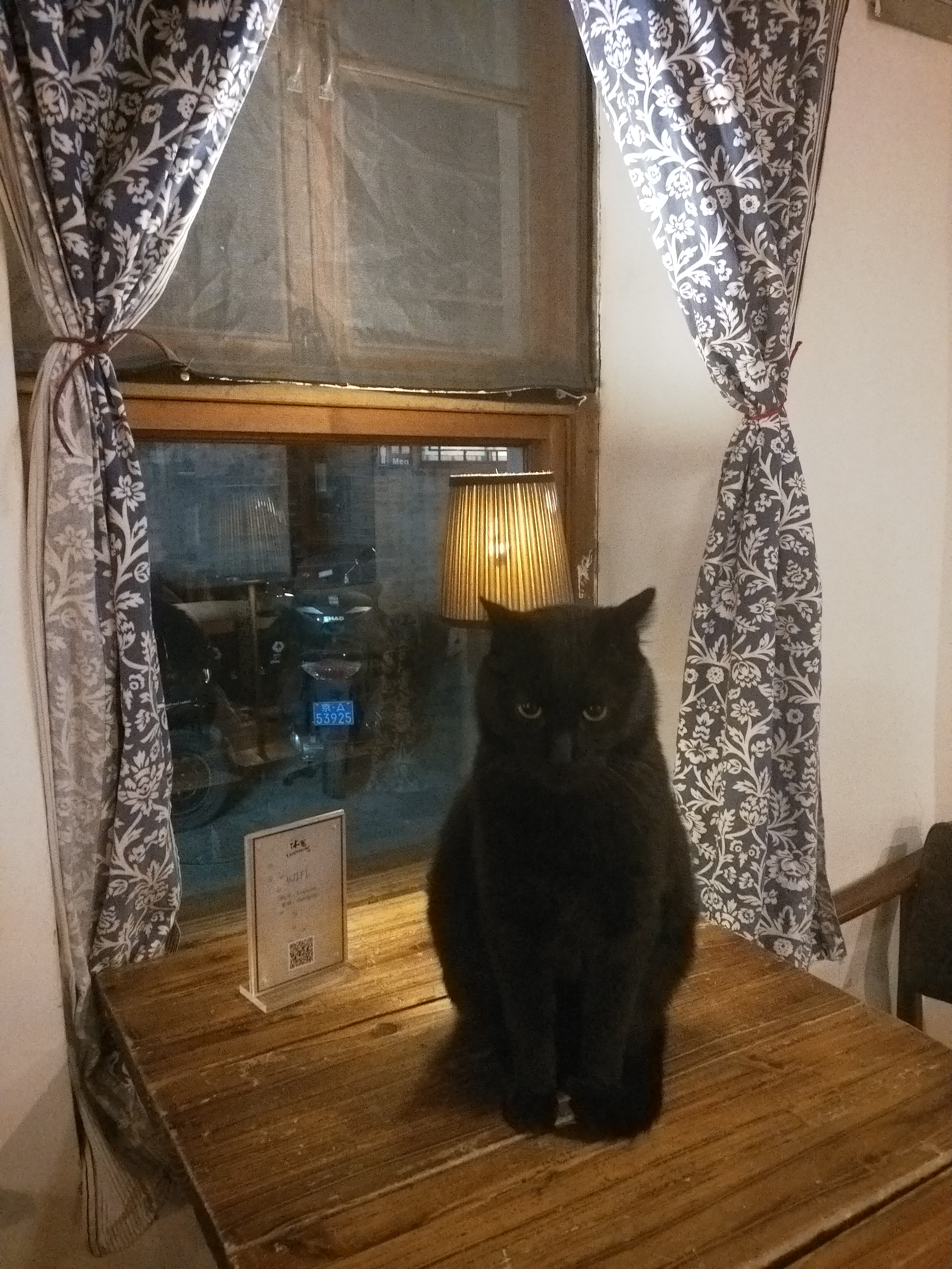 一间贩卖温暖和人间清醒的咖啡店,咖啡馆里温暖治愈的故事