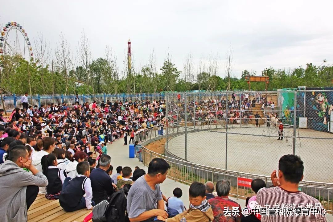 千年古城的勃勃生机,青州古城与青州古街