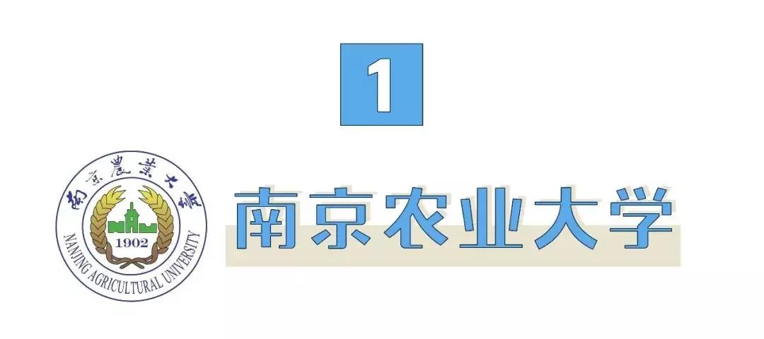 中国最好的大学食堂排名,南京高校餐厅哪家好