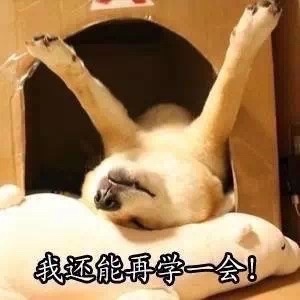 二建实务网络计划,2024年备考二建学习计划