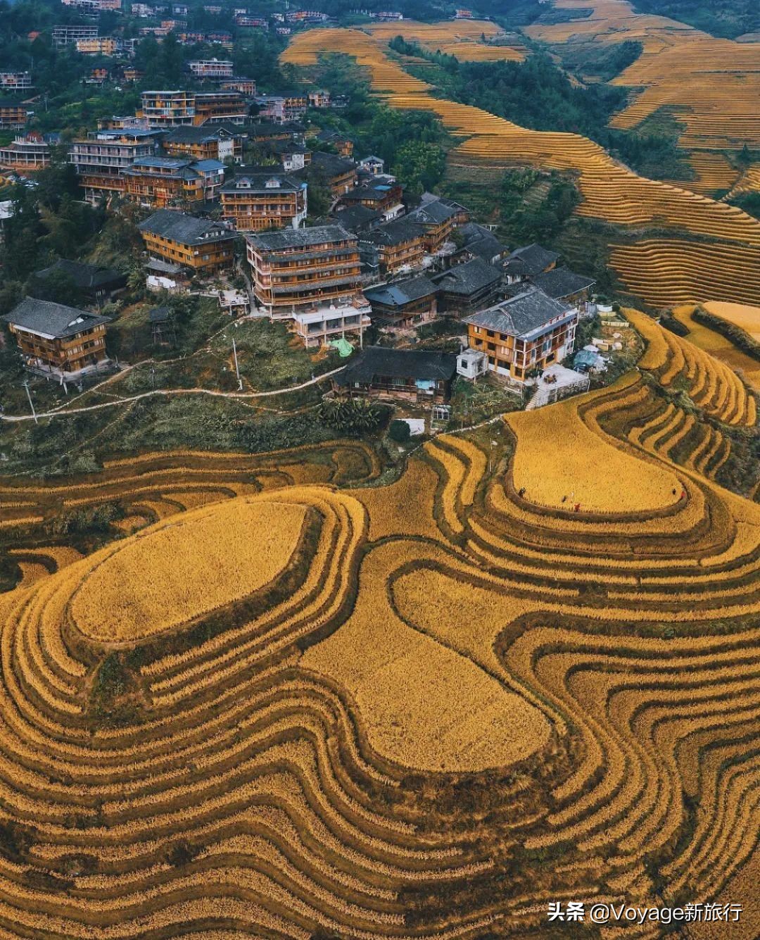 夏天来了不想上班,夏天来了不想出去旅游了