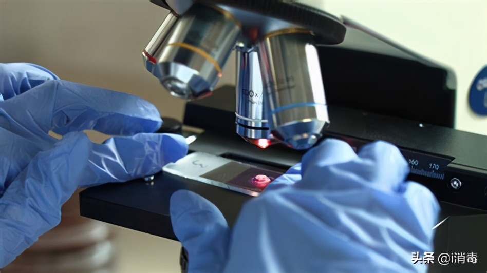 新冠肺炎核酸检测数值多少算阳性,感染了新冠几天核酸检测会显阳性