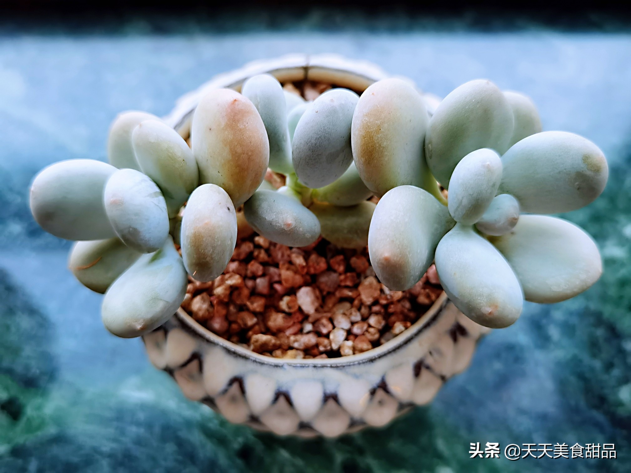 我在锦州的日子，这个周末女儿女婿又骑行