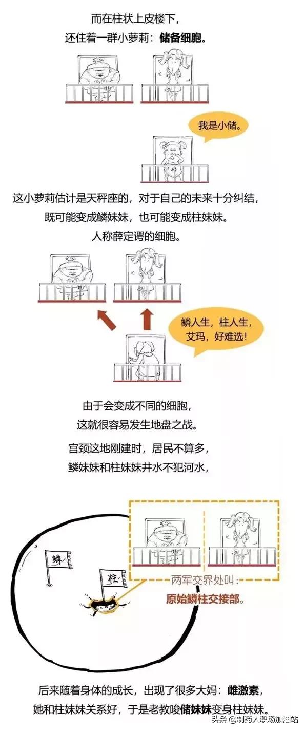 乳房癌、宫颈癌与HPV