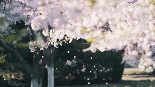 为什么宅在家反而容易累,为什么宅在家