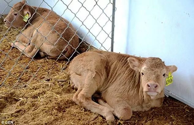 医药新闻最新,2019医药新闻热点