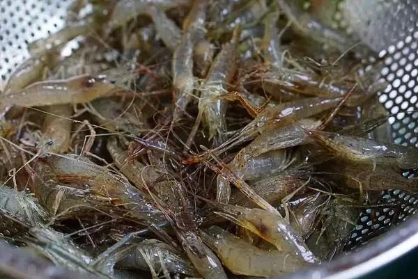 食药打假每周黑榜,每周食药黑榜第59期完整版