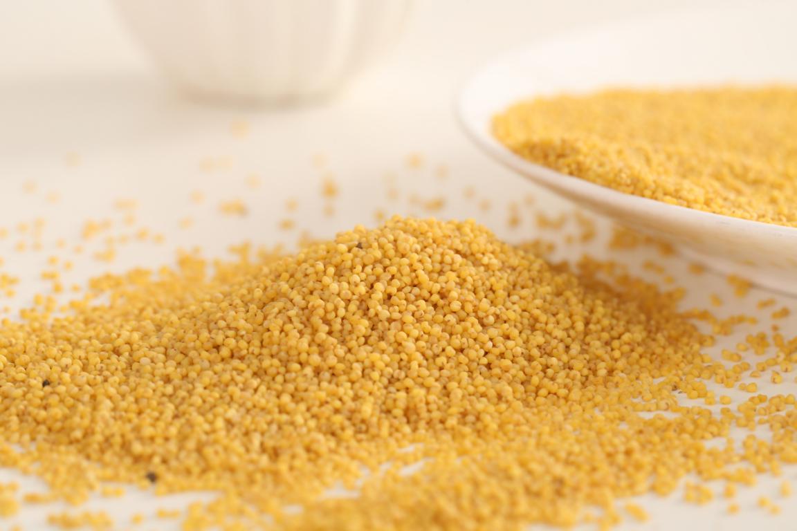 冬季养生粥五种食材少不了,冬日一碗小米粥驱寒进补又养生