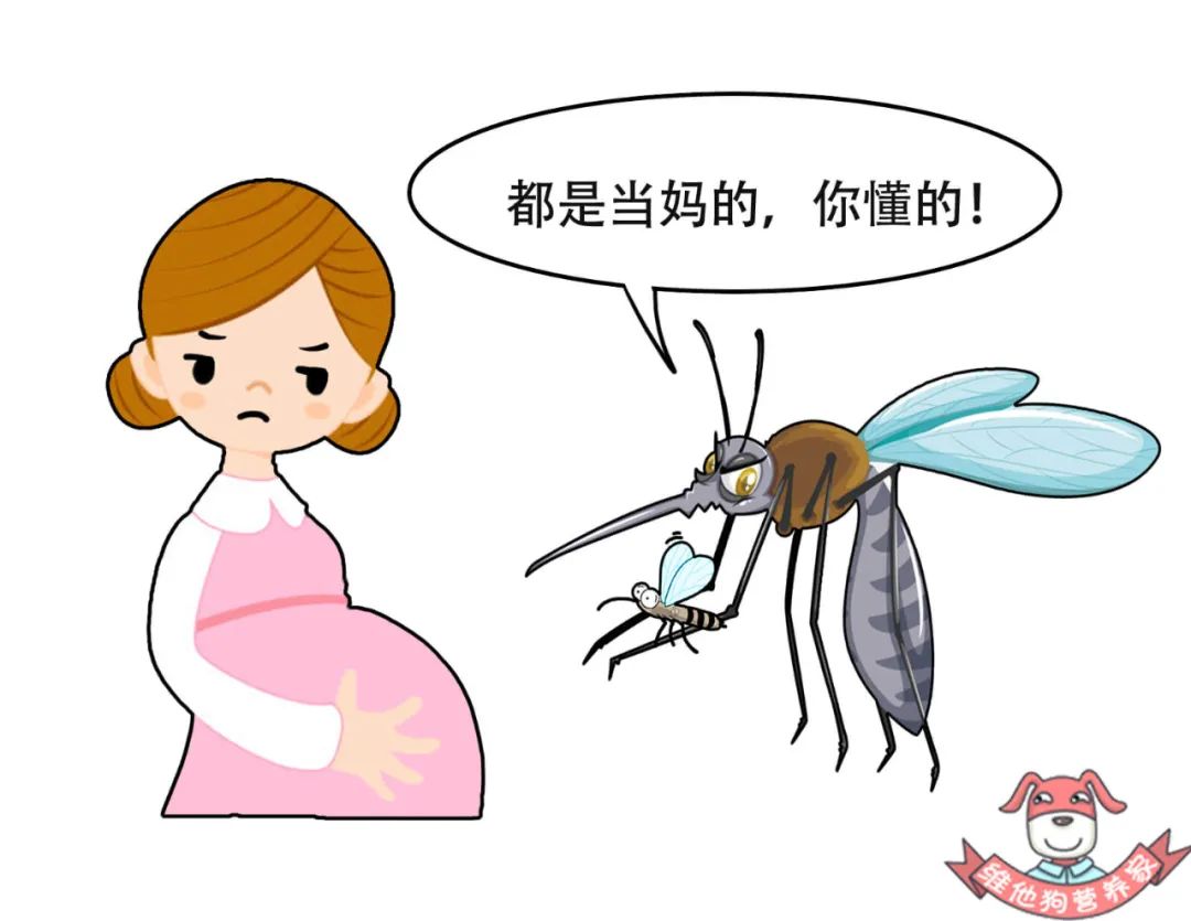 为何蚊子咬了不会肿大,耳朵被蚊子叮了怎么消肿止痒