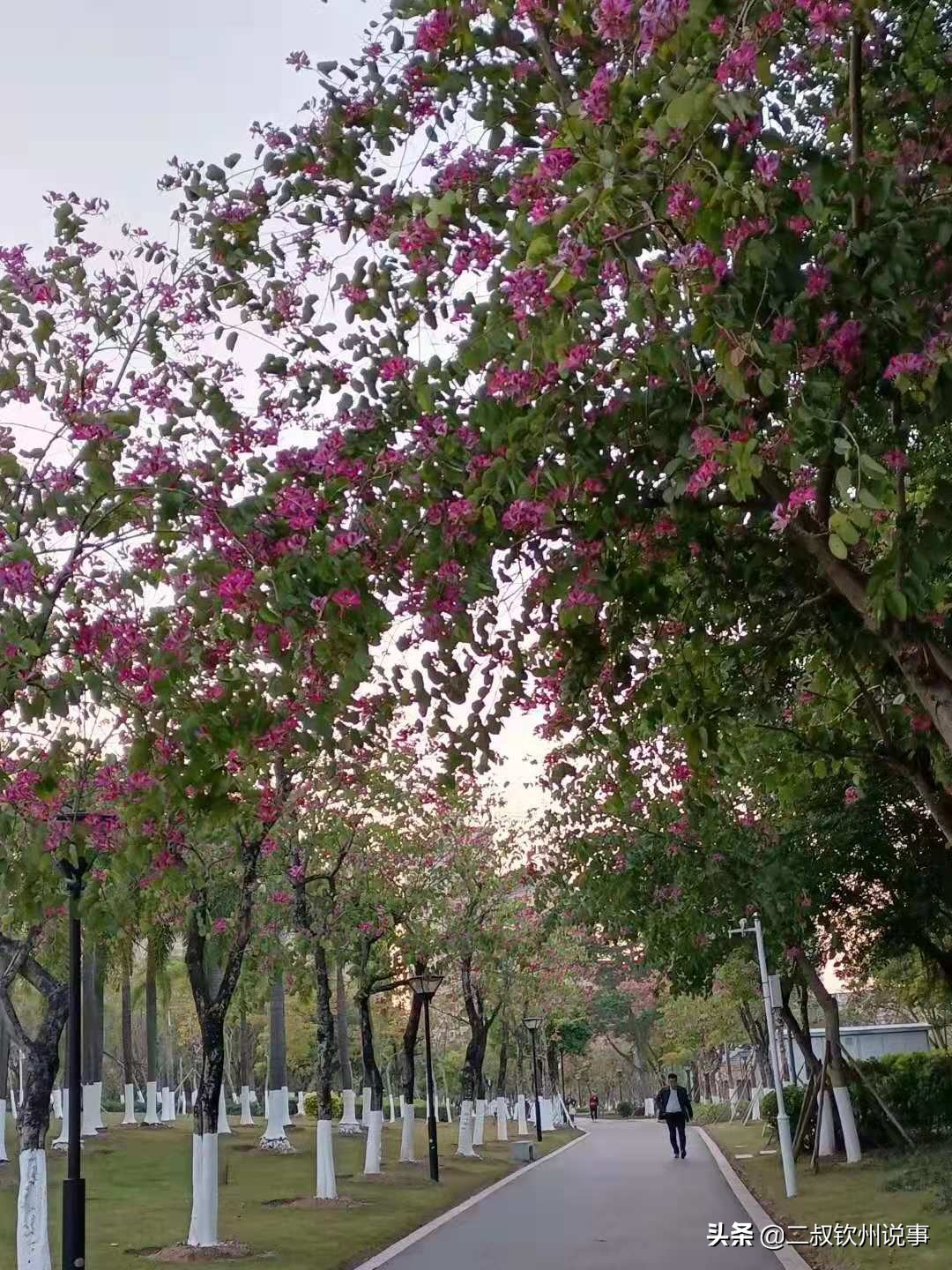 钦州，一个适合生活的地方，也应该有发展的机会