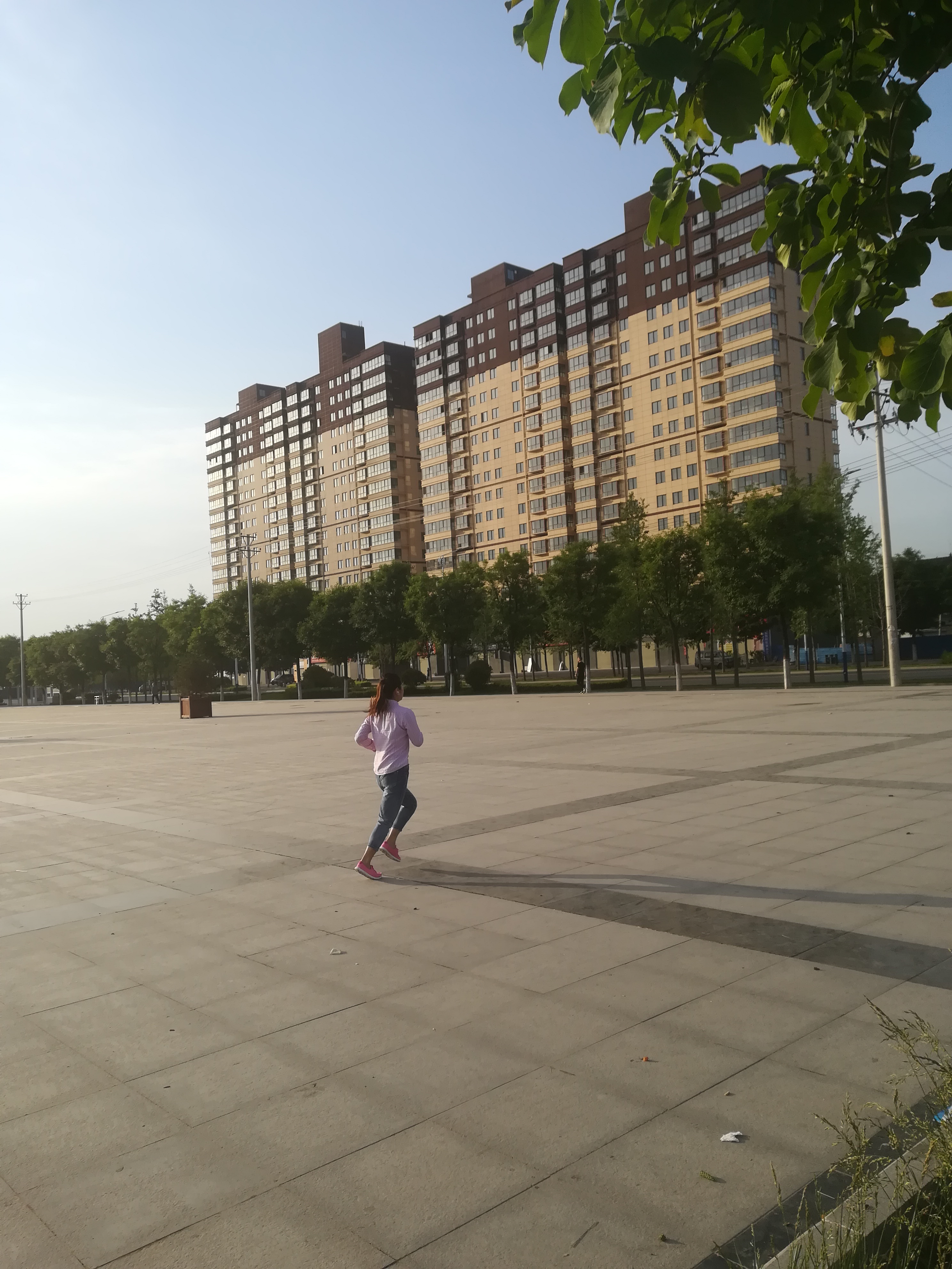 世界的新加坡中国的蔡家坡,中国的蔡家坡世界的新加坡