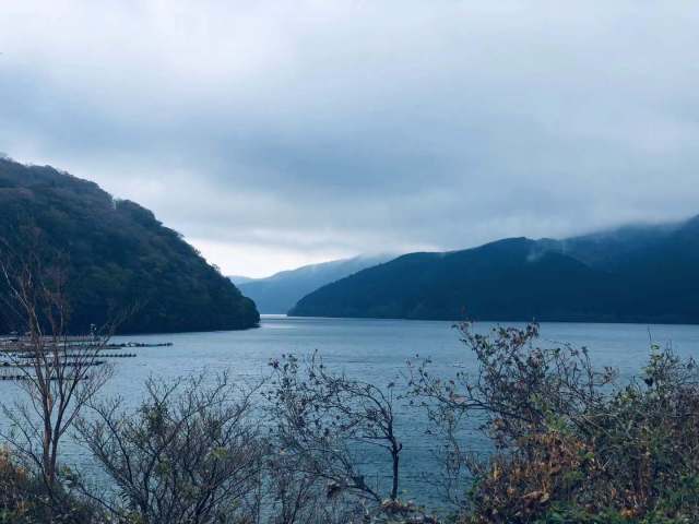 东京到镰仓和箱根攻略,东京箱根富士山镰仓