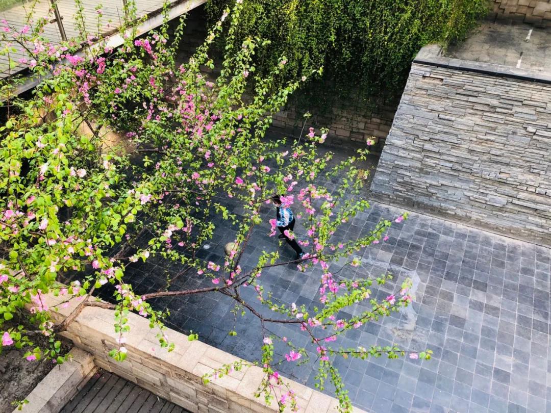 35岁必须知道的事,35岁才知道的事