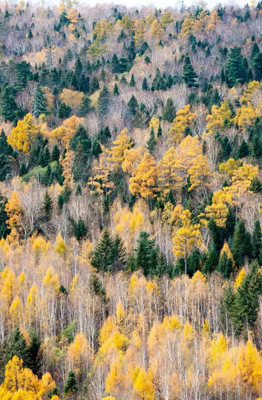 黑龙江旅游小众胜地,黑龙江值得旅游的10个地方