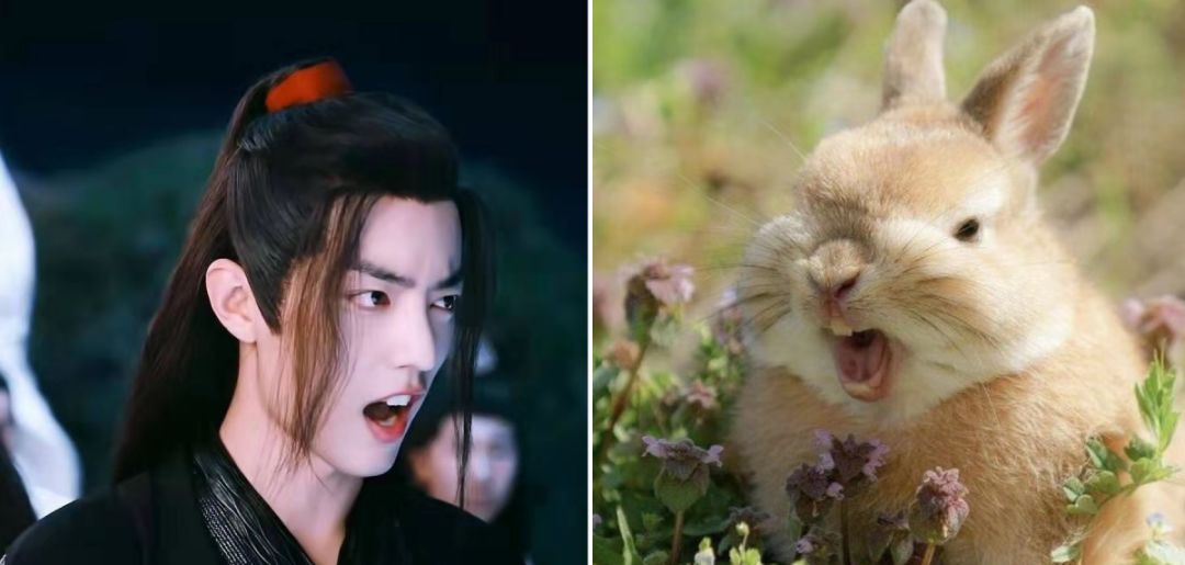 肖战怎么成为人气男神,肖战撩人的最高境界