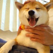 免费app是怎么盈利的,免费视频网站靠什么盈利