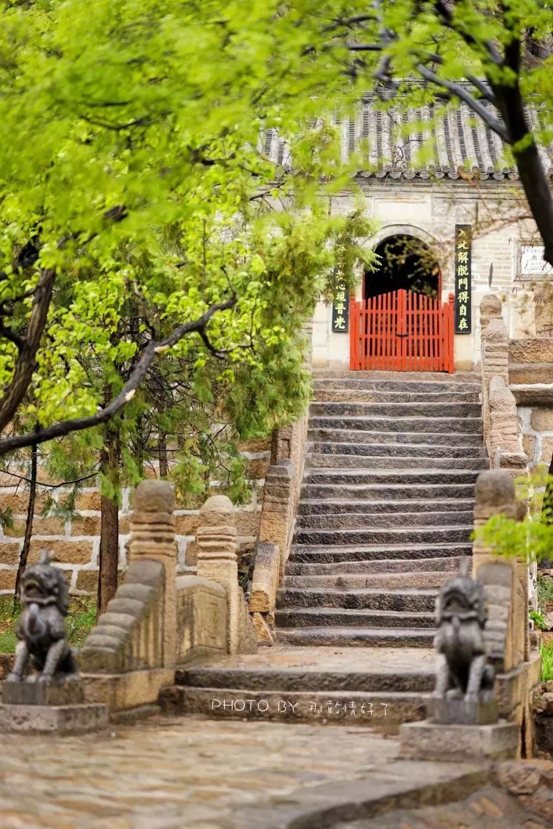 京郊童话树屋,京郊最美童话树屋