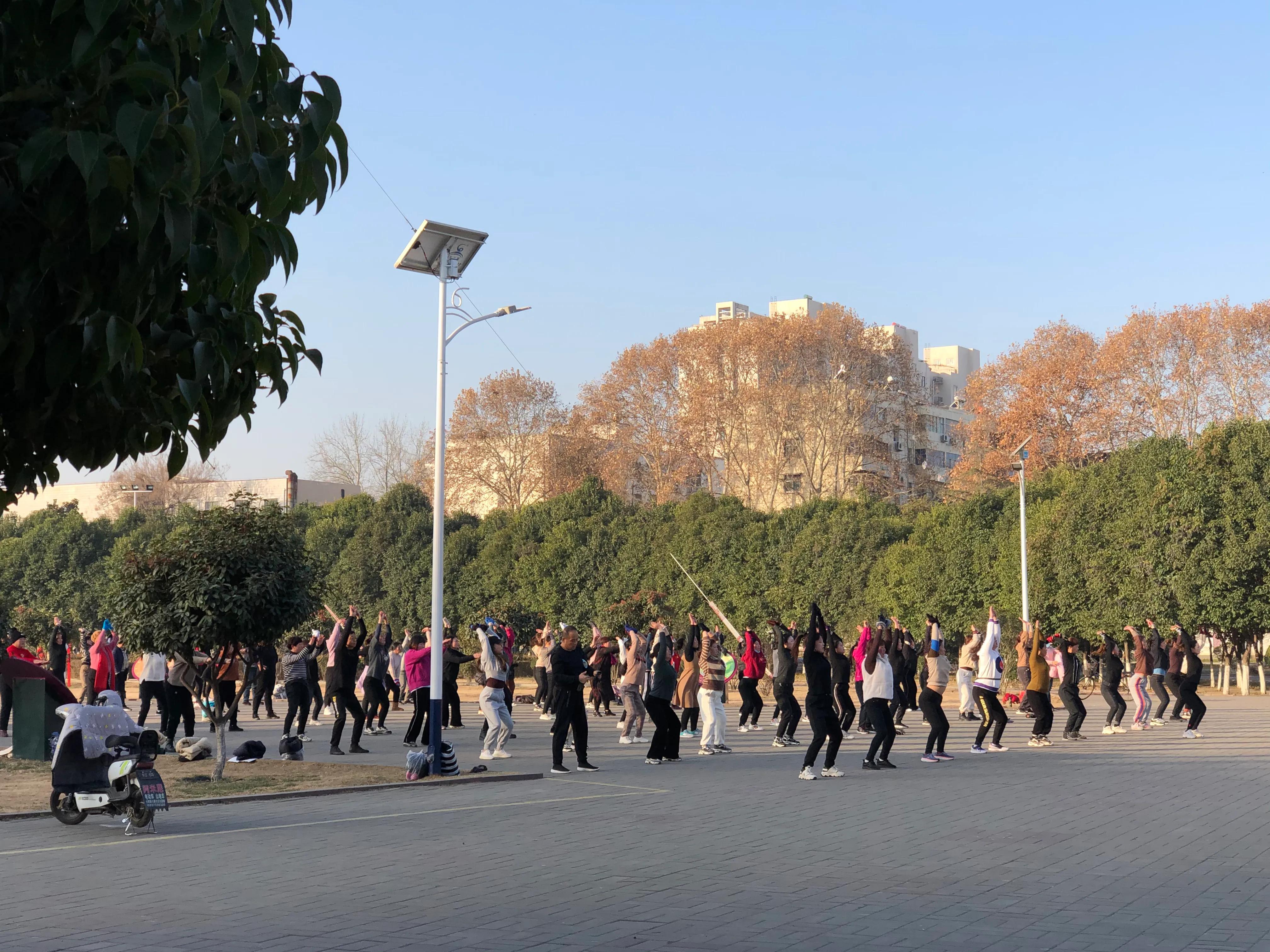 平顶山河滨公园旅游攻略,平顶山森林公园游记