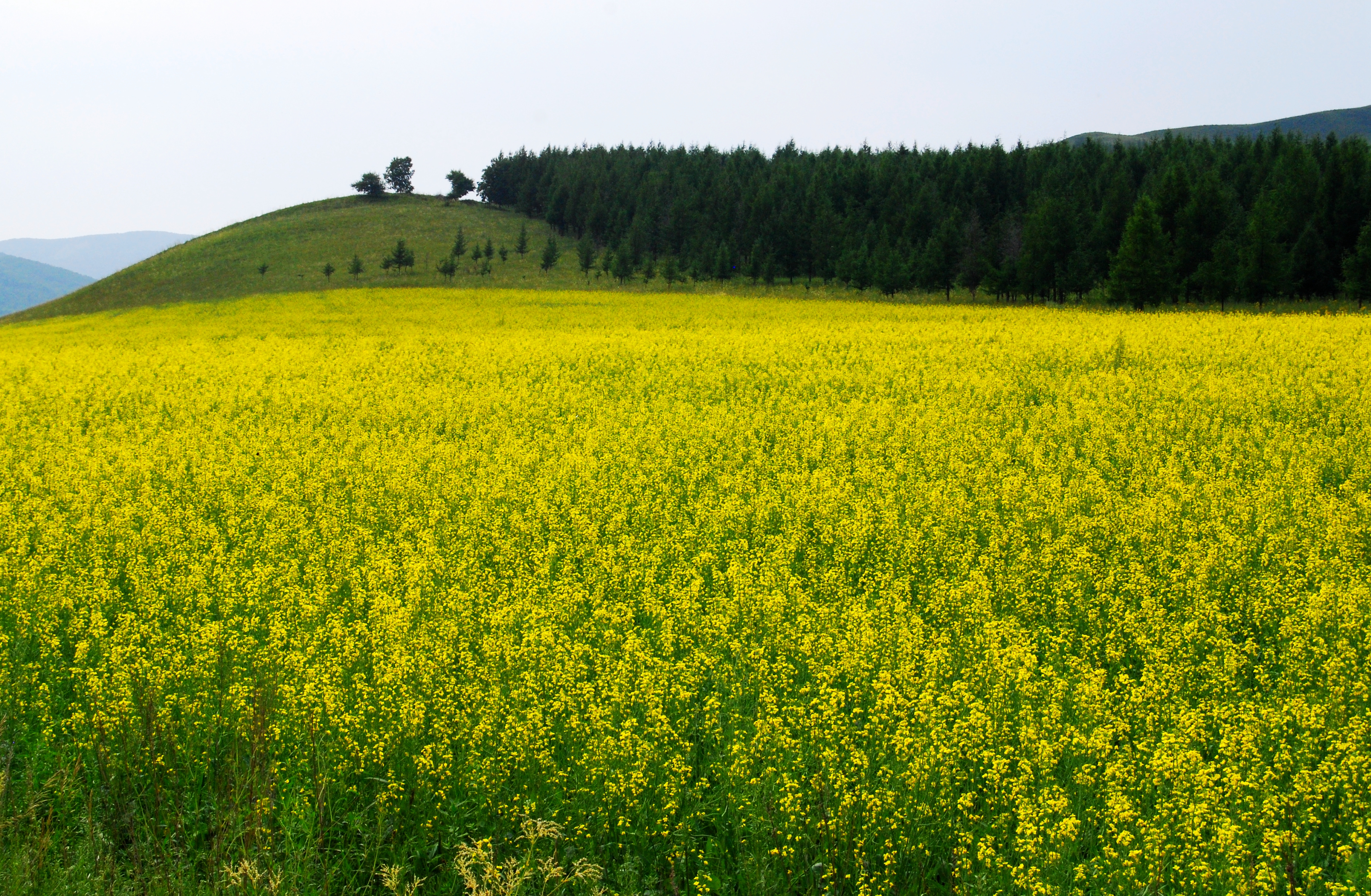 一辆车,从东乌旗沿中蒙边境公路到阿尔山,漫长边关寻迹历史遗存
