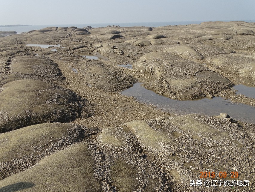 营口黄金海岸沙滩,营口北海海滩攻略