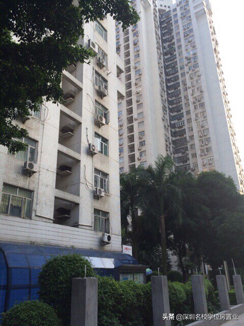 最新深圳百花片区学位房,深圳市福田区百花片区学位房