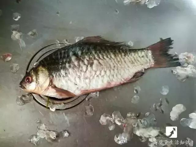 「生活妙招」今天教大家这几招，去除鱼鳞简直太容易了