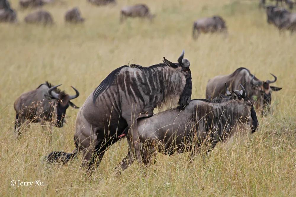 情人节,就该和爱的人*爱做**做的事