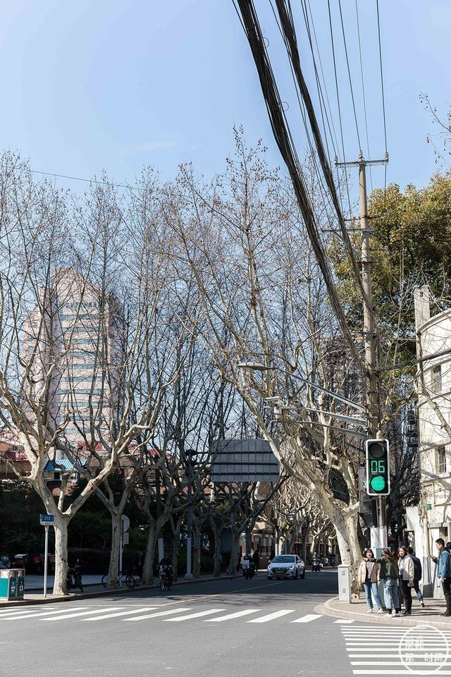 静安寺旁的「下午茶路」!森系、复古、蒸汽波...仙女必去~