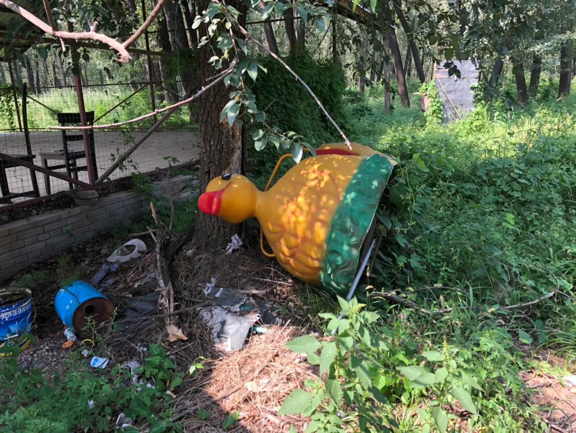 眼看着你从辉煌走向落寞,鹅和鸭农庄的前世今生