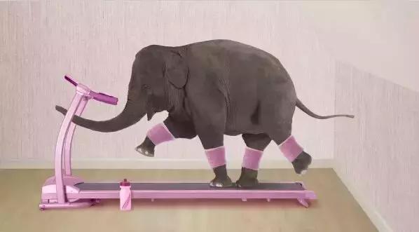 温州的市中心是哪个区,温州未来市中心