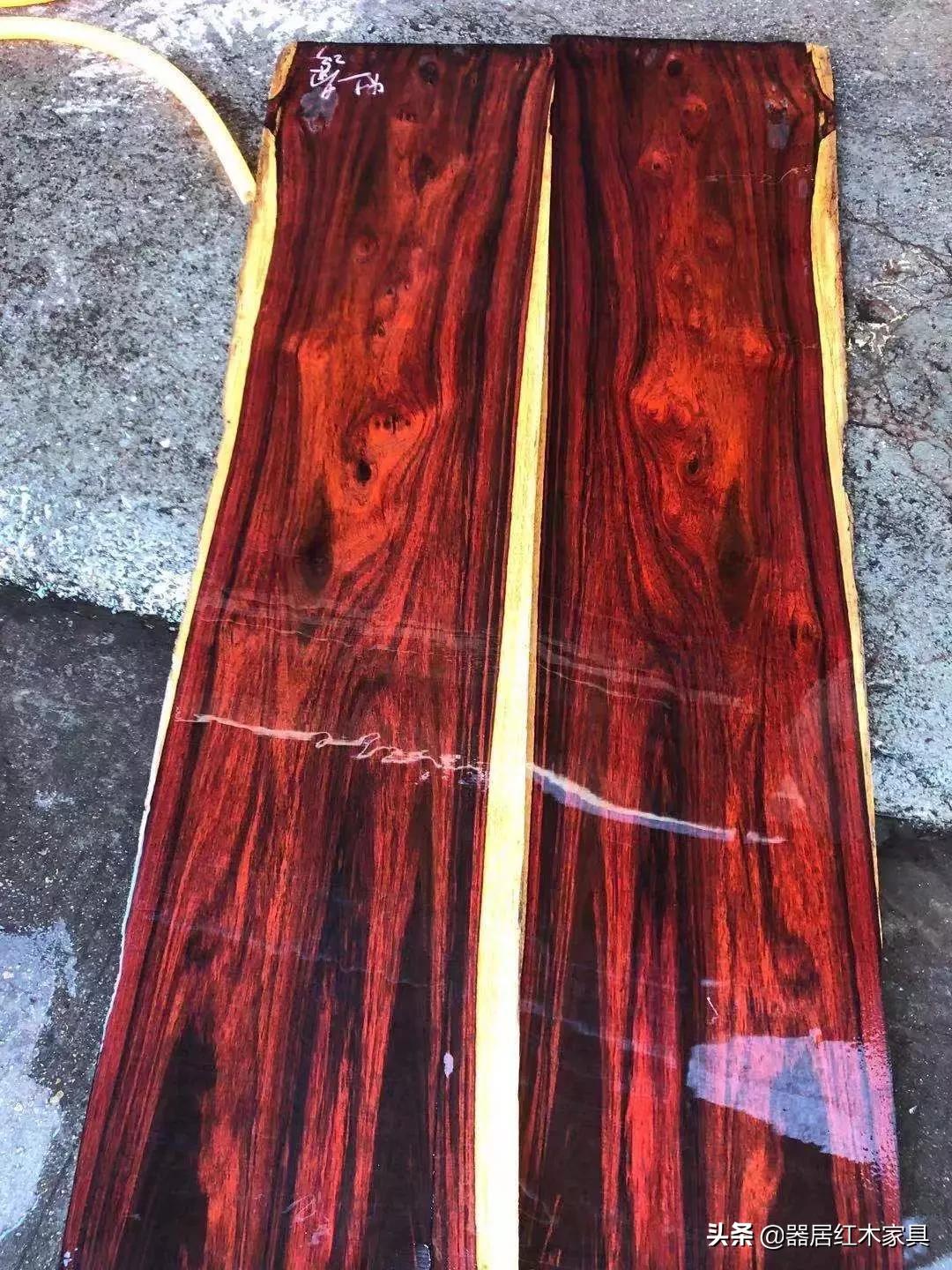 木中君子是什么木,木中君子黄杨彩绘