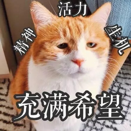 中国留学生被老师逼疯,中国学生把外国教授逼疯