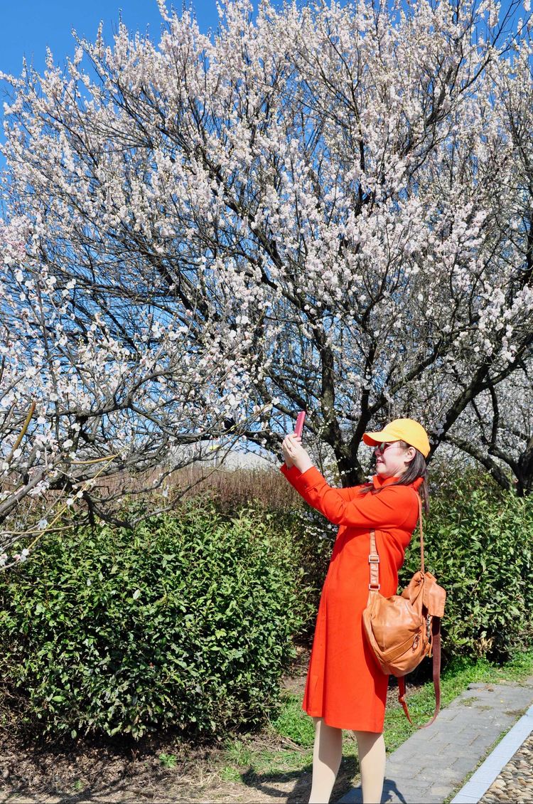 傅家边野营,走进金溪傅家村