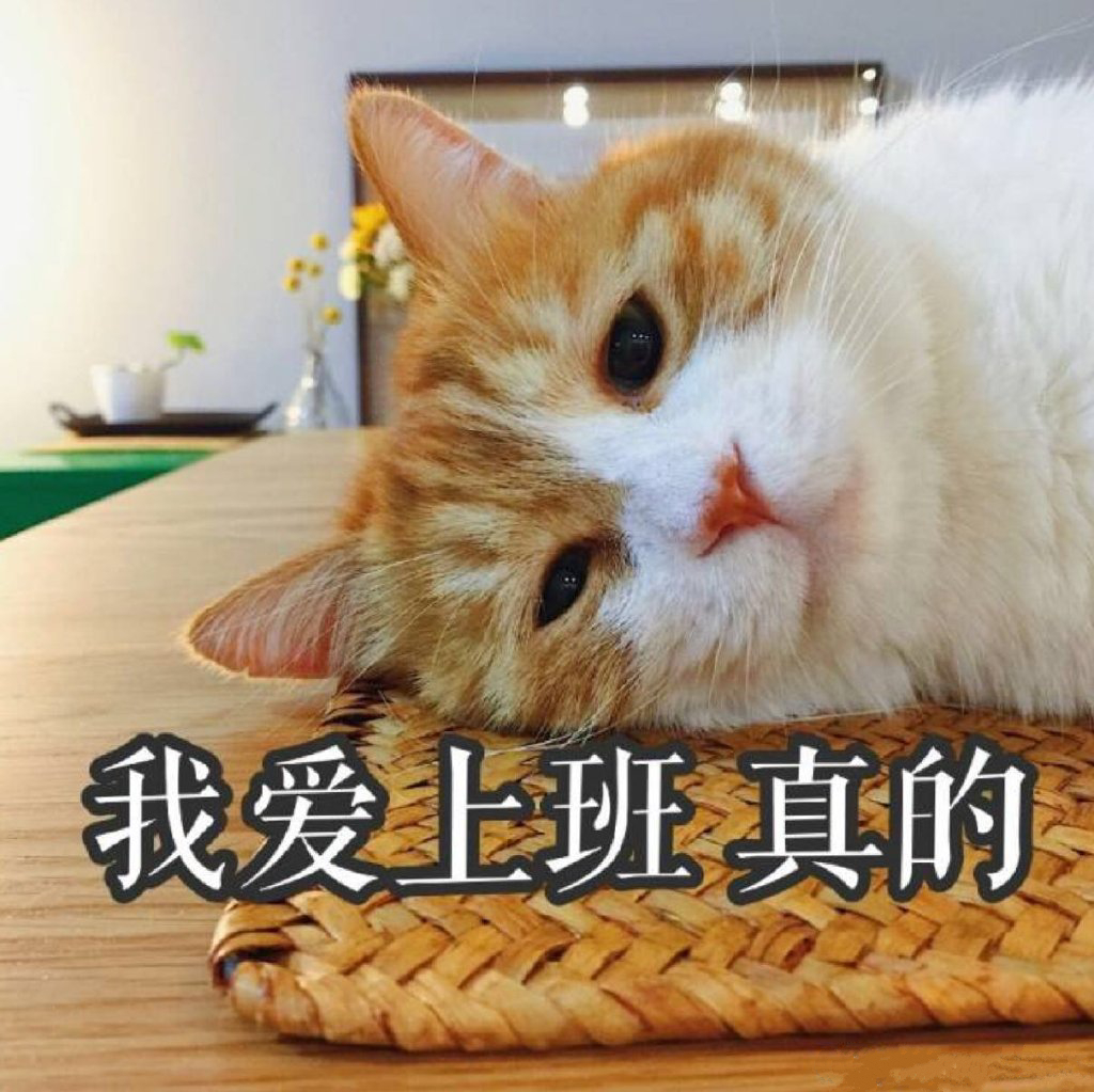 波司登冬季穿搭,波司登22年零下40度极寒羽绒服