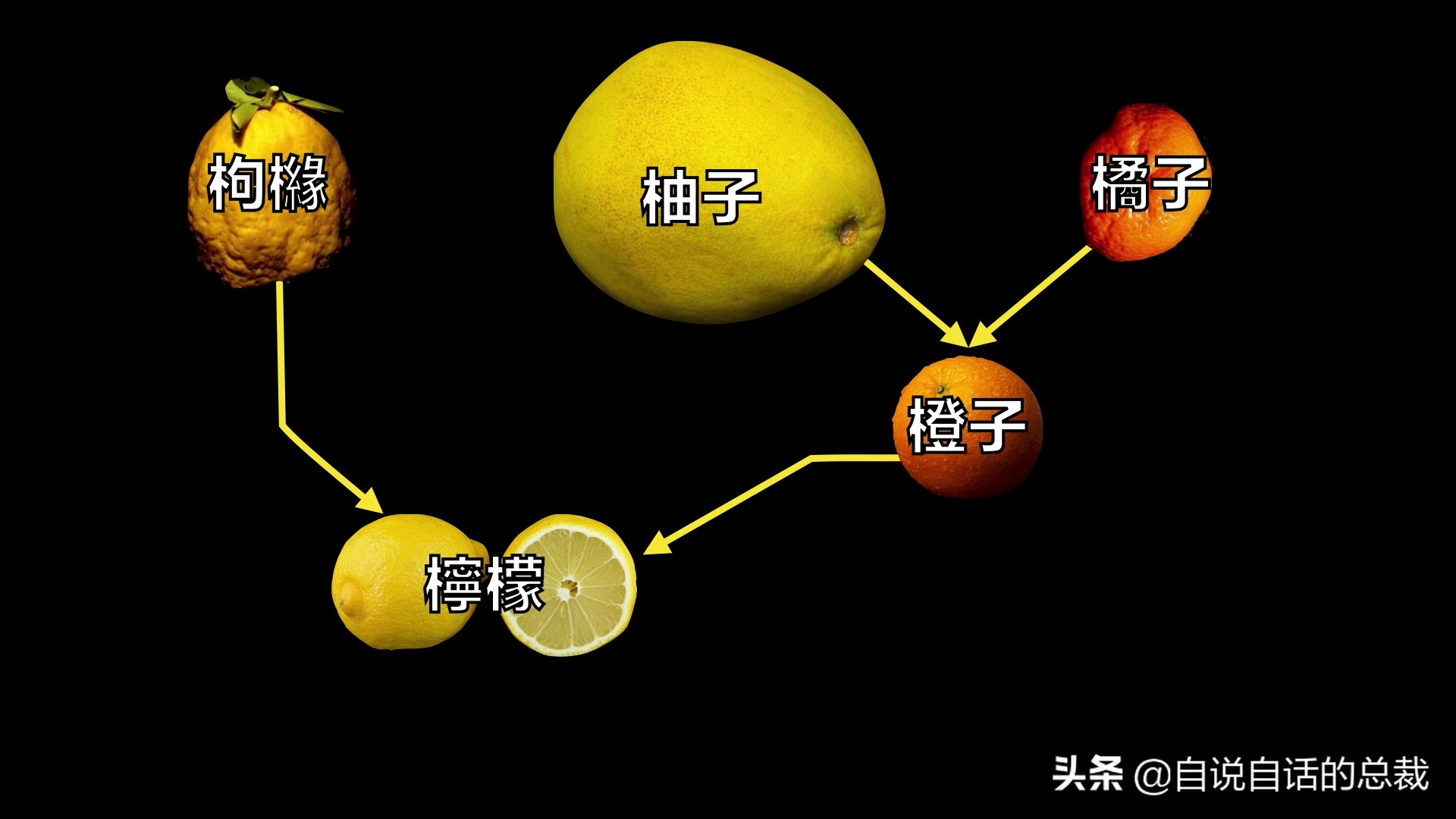 全世界的柠檬都读Lemon?这背后有一个刻在8号染色体上的上古故事