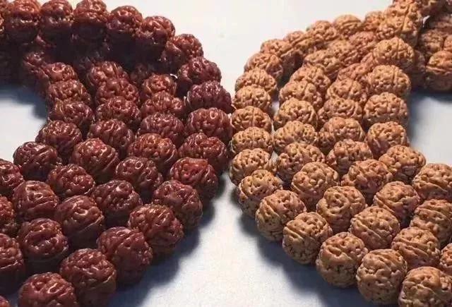 金刚菩提为什么不变色,金刚菩提为什么盘的色不均匀